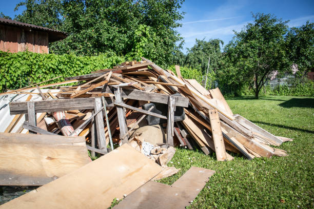 Best Shed Removal  in , MN